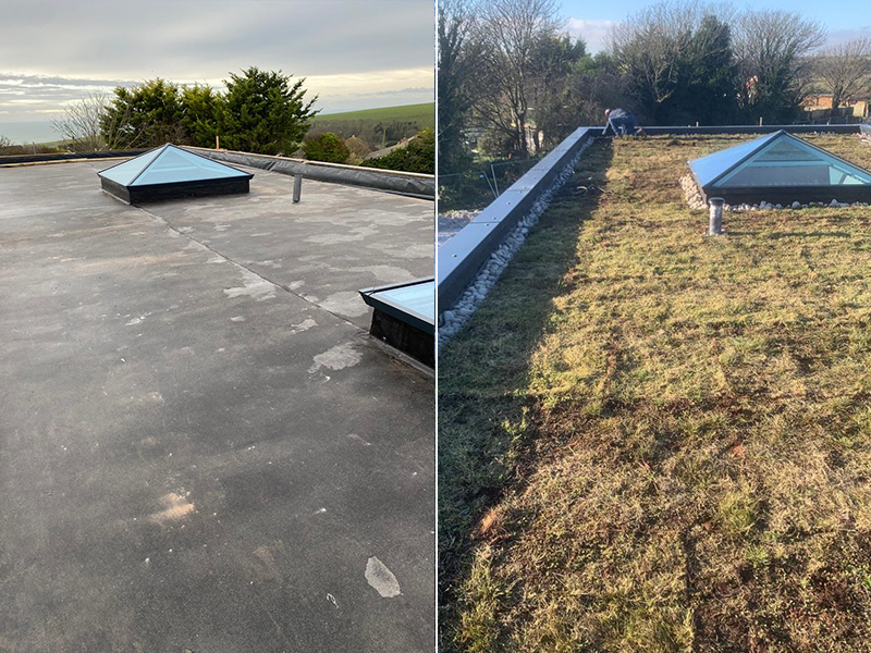 Black-Rock-Asphalt-Green-Roof